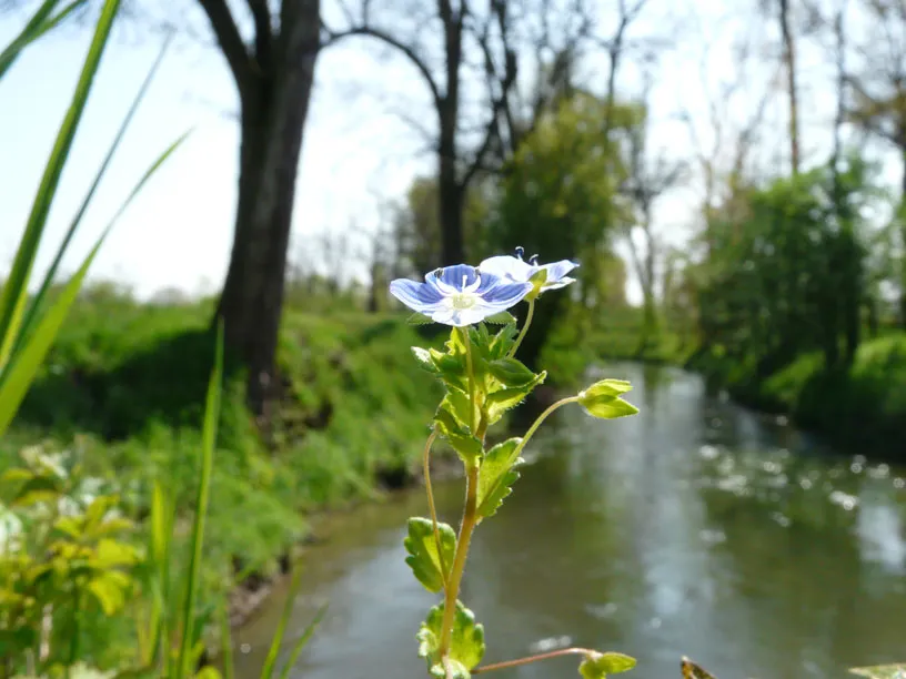 Tornano le “GEOCAMMINATE” alla scoperta del territorio di Buccinasco – 19 aprile e 3 maggio 2025
