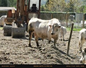Visita all’Agriturismo Negri, uno dei produttori storici del nostro mercato KmZero